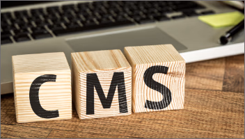 Digital Guide Headless CMS